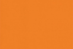Home depot orange