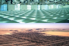 P_feedlot2