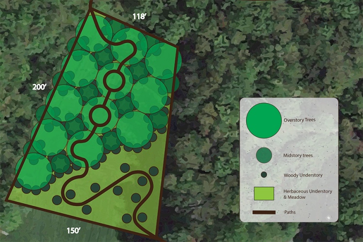 Permaculture Consultation & Design