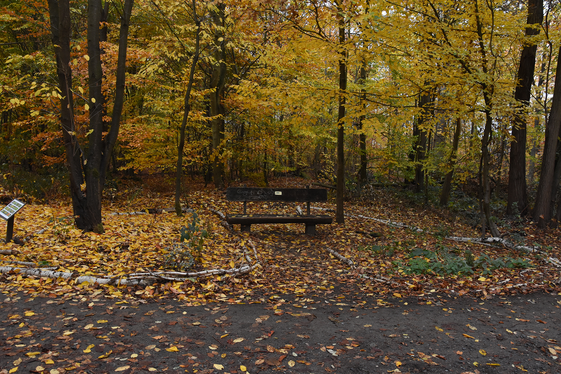 Migrant Sanctuary Garden: The International Forest Art Center, Darmstadt, Germany